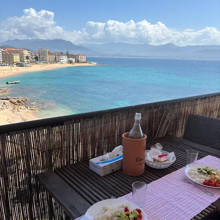 Balcon Sur La Climatise Deux Plages Commerces Et Parking Gratuit Au Pied De L Immeuble Apartmán Ajaccio (Corsica)