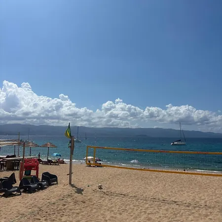 Apartmán Balcon Sur La Climatise Deux Plages Commerces Et Parking Gratuit Au Pied De L Immeuble Ajaccio (Corsica)